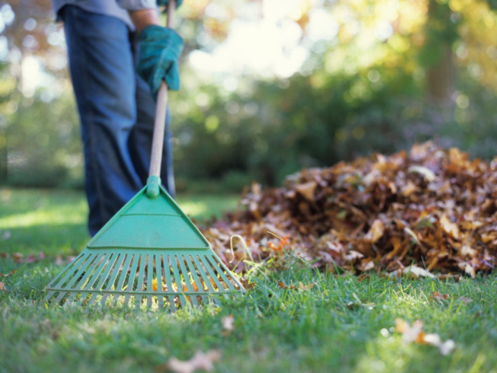 performing seasonal yard cleanup for a customer in duxbury ma