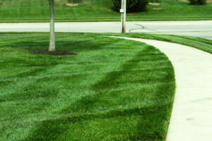 about our lawn care services